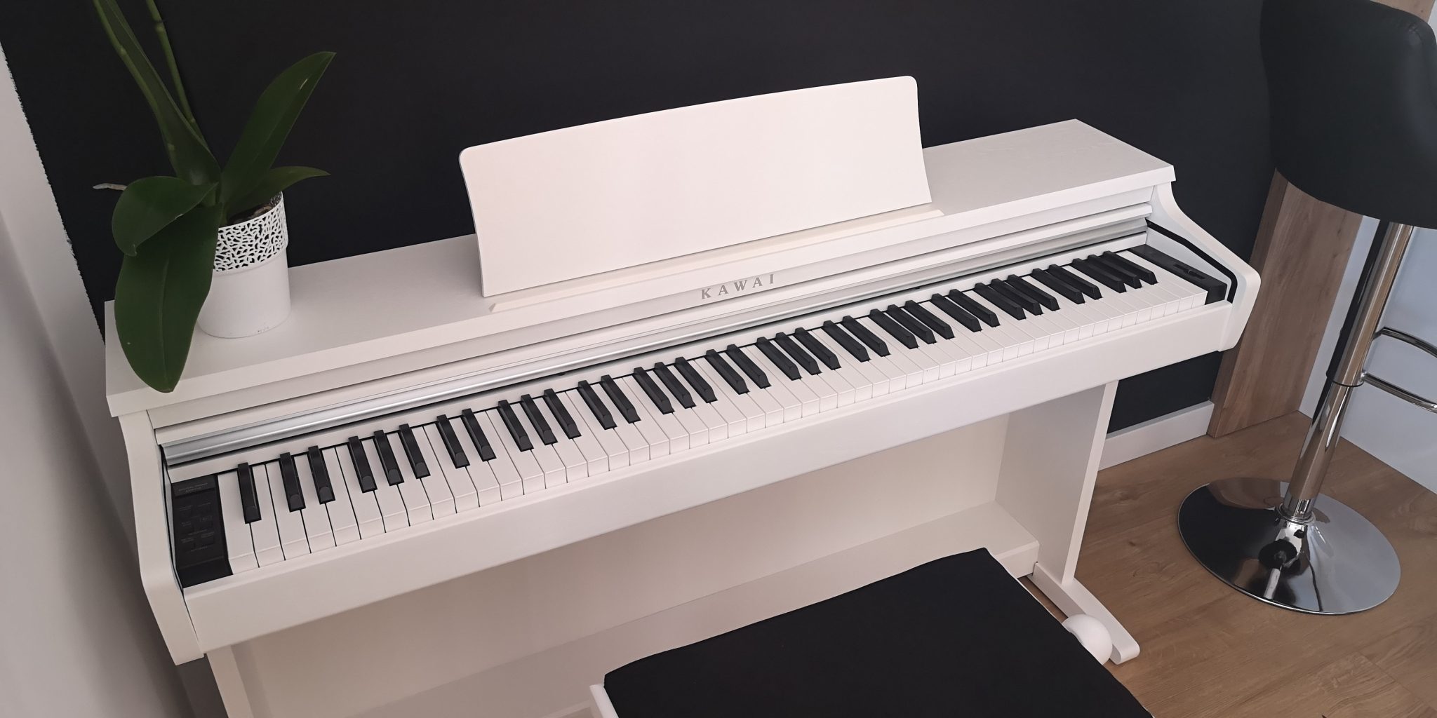 Piano at home? Best ideas for your home & garden