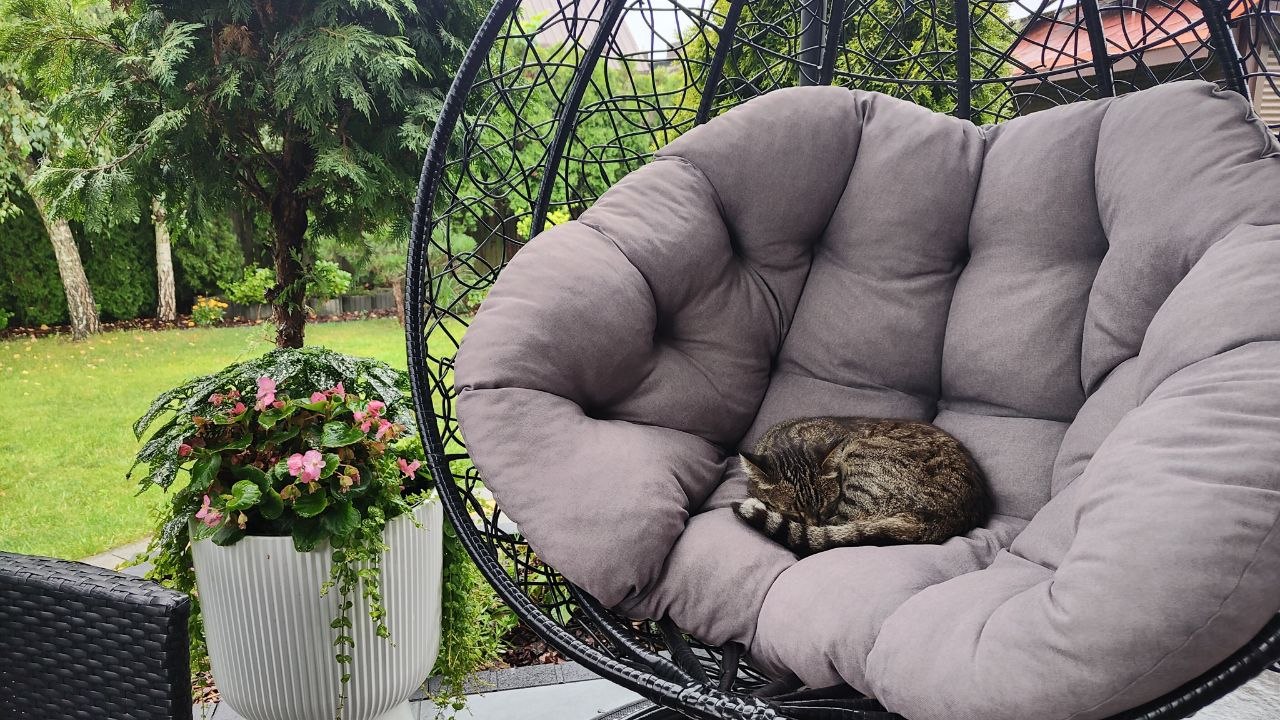 Our cat loves the garden cocoon